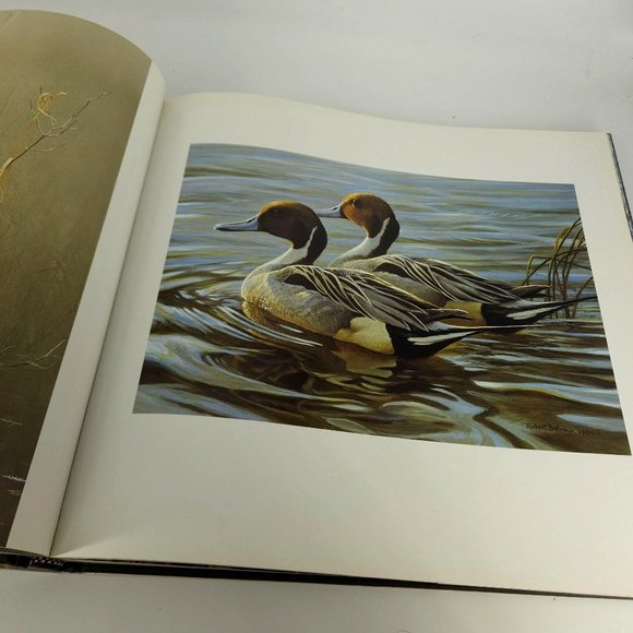 Robert Bateman Natural Worlds Photography Art Rich Archbold Hardcover Table 1996 - Picture 4 of 13